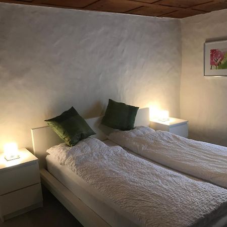 Guesthouse Les Mignardises Laufen-Uhwiesen ภายนอก รูปภาพ